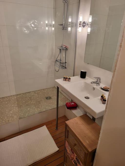 Appartement Luxe "La Providence" , Plein Centre Vichy Eksteriør billede