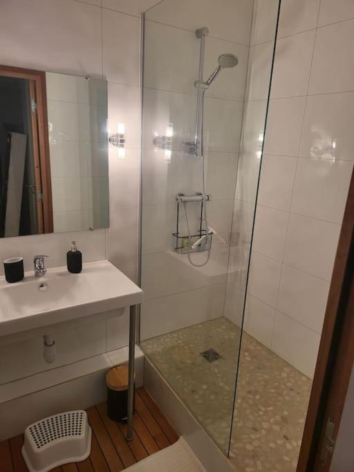 Appartement Luxe "La Providence" , Plein Centre Vichy Eksteriør billede