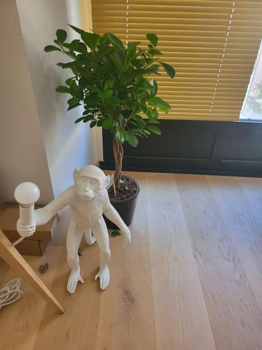 Appartement Luxe "La Providence" , Plein Centre Vichy Eksteriør billede