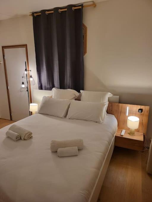 Appartement Luxe "La Providence" , Plein Centre Vichy Eksteriør billede